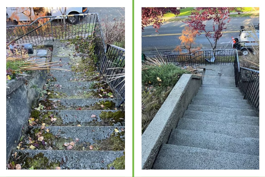 ClenzO2 Wood Cleaner and Bleach Alternative - Expert Power Wash